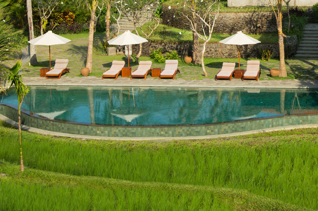 Alaya Resort Ubud Photo